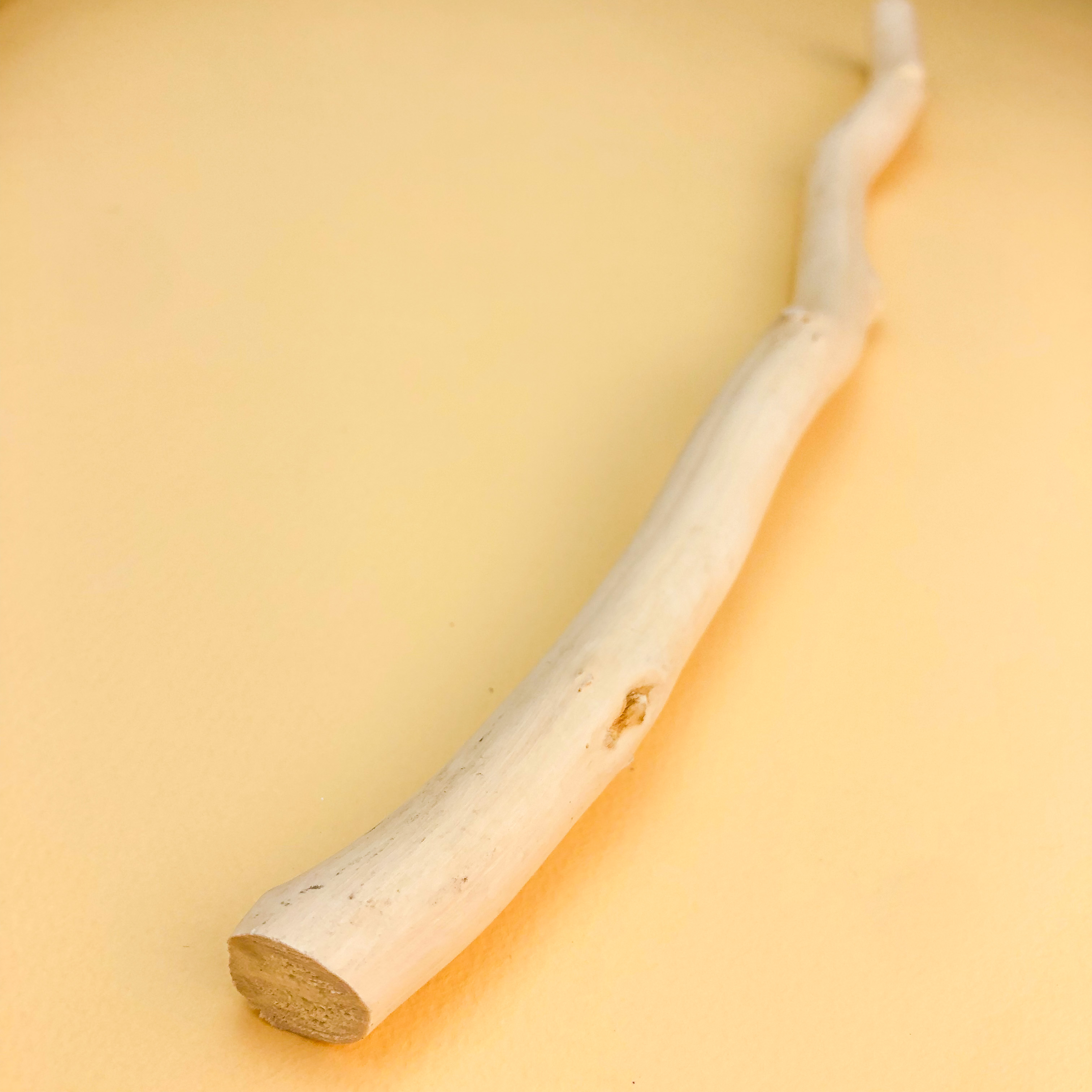 main_image